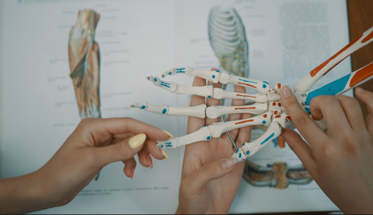 Кафедра анатомии человека с курсом топографической анатомии и оперативной хирургии