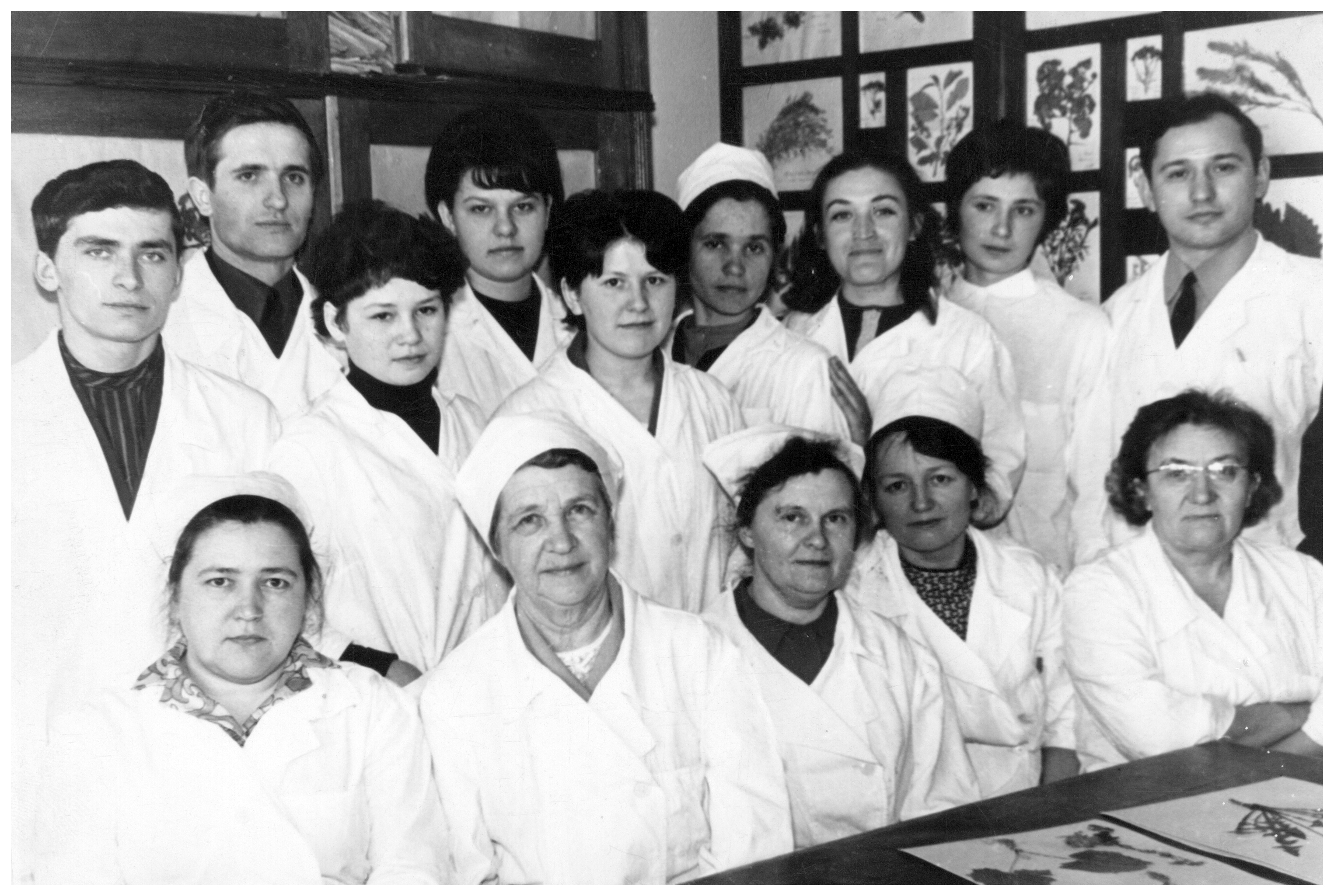Кафедра фармакогнозии, 1971 год